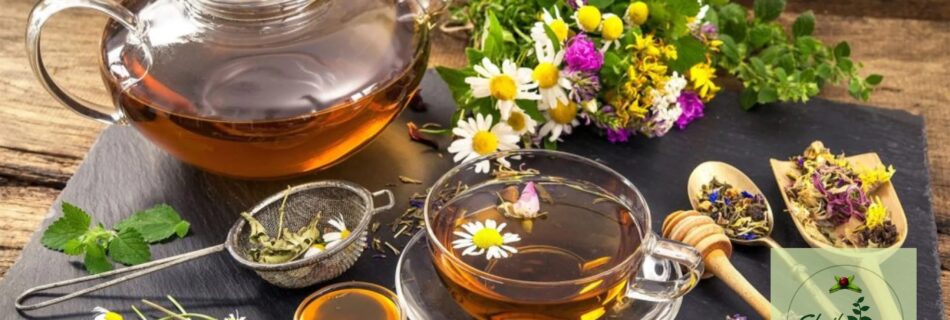 Herbal Tea 🍵, Natural Infusion 🌱, Organic Herbs 🌿, Wellness Tea ✨, Detox Tea 🚀, Immune Booster 🛡, Caffeine-Free Tea 🚫☕, Refreshing & Soothing 💆‍♀️, Ayurvedic Tea 🧘‍♂️, Wholesale 🏭, Manufacturer 🏆, Exporter 🌍